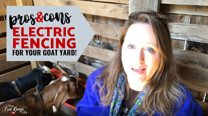 Pros and Cons of Using Electric Fencing for Goats