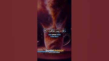 Surah Al Ankabut (سورة العنكبوت) - AYAT 58-60 | Hamza Saeed