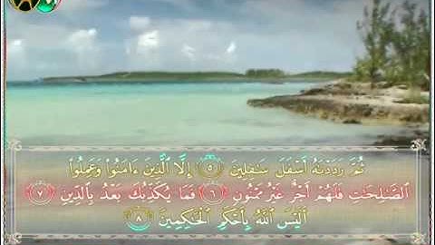 سورة التين بصوت الشبل يوسف كالو