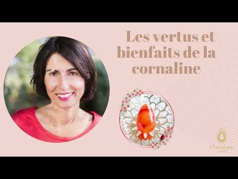 Vidéo: Quel goût ont les cornalines ?