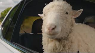 Volkswagen Tiguan - Commercial: Sheep "Break Free" (2022; 0:30)