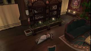 Final Fantasy XIV - Patch 4.1 Push-up Emote