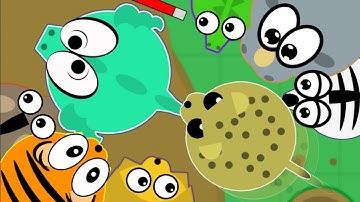 Mope.io CHEETAH KILLS DRAGON LEGENDARY KILL // ZEBRA TROLLING (Mope.io Moments)