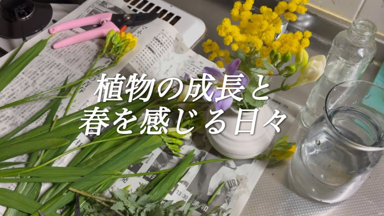植物の成長と春を感じる日々
