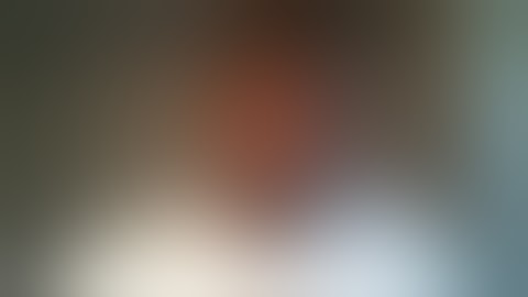 Lead System Network Don