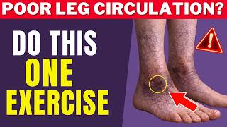 Surgeon REVEALS: Poor Leg Circulation After 70? Do This 1 Exercise!