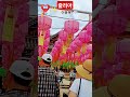 영축총림양산통도사#청낭