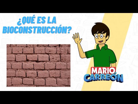 ¿Qué es la