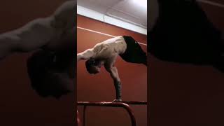 #calisthenics #workout #gym #dips #muscleups #pullup #handstandworkout #planche #frontlevel #sport