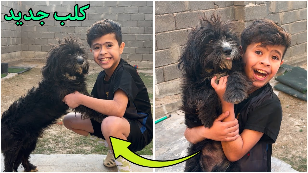 اشتريت كلب الجديد 🐕😍 الكلب يلعب طوبه ⚽️😂