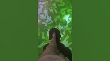 interactive floor systerm support 3 projectors from defi tech ltd