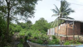 Udea - Manglares Del Fo De Urabá. Refugios De Vida Amenazados