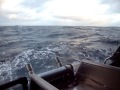 Bering sea cod fishing