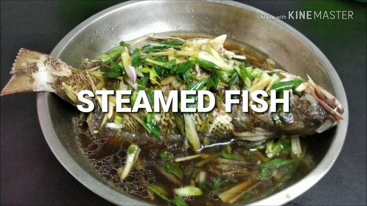 Steamed FISH YouTube