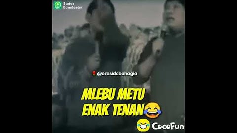 story wa mlebu metu enak tenan