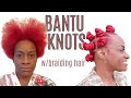 Bantu Knots w/Braiding Hair | Rush Our Fashion