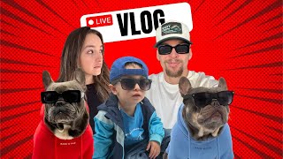Live Vlog Day 8 - Chipotle with the dogs pt. 2