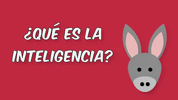 ¿Qué color significa inteligencia?