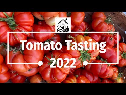 Video: Pelajari Lebih Lanjut Tentang Varietas Tomat Heirloom