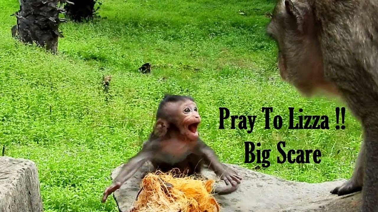 foundry Breakin Heart Lizza Scare Mom Till Fall Down From Deep Rock/ Praying To Lizza Stop Crying