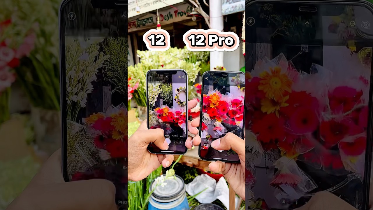 iPhone 12 Vs iPhone 12 Pro || Camera Zoom Test! 