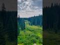 The Commute vs. The Destination: Grand Mesa National Forest 🌲 #westerncolorado