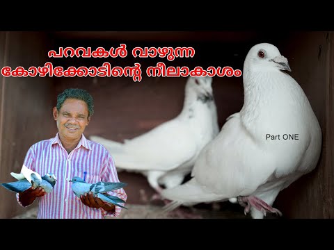 เดจเดพเดธเตผ เดเดเตเด (เดฌเดฟเดเตเดเตเตป )เดคเดจเตเดฑเต เดชเดฑเดต เดชเตเดฐเดพเดตเดฟเดจเตเดฑเต เดตเดฟเดถเตเดทเดเตเดเตพ เดชเดเตเดเตเดตเตเดเตเดเตเดจเตเดจเต part 01