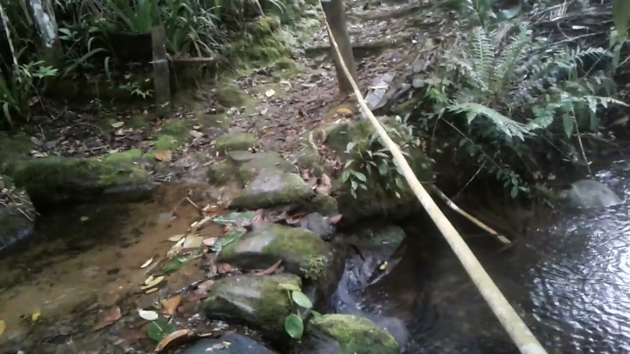 2 – Água como Energia Viva | Rios, Cachoeiras e Piscinas Naturais | Ecocamping Energia Viva