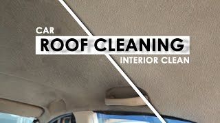 Car Roof Cleaning | Interior Clean | How to Clean Car Roof