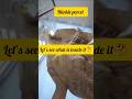 “Blinkit = instant khushi + instant loss 💸”#ytshorts #trending #blinkit #shorts #love #viral#explore