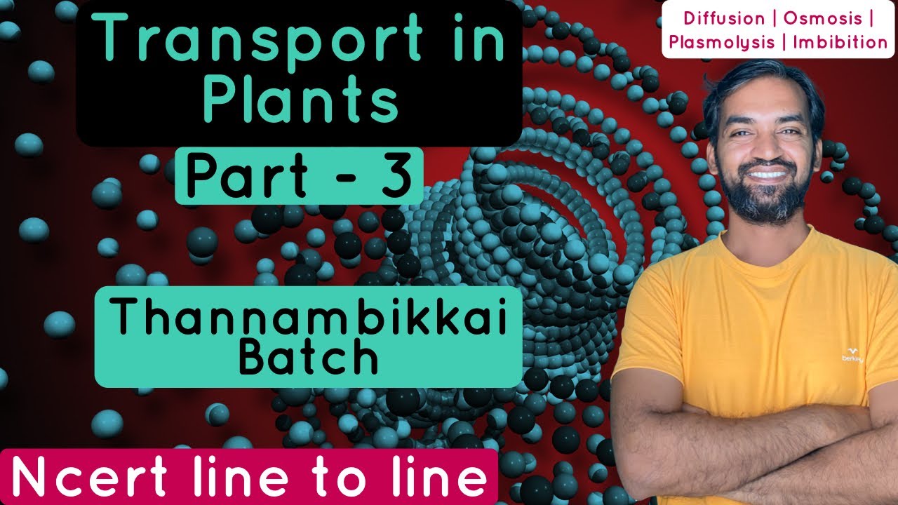 Transport in Plants | Part 3 | NCERT Line to Line | Thannambikkai Batch | NCERT class 11 Biology