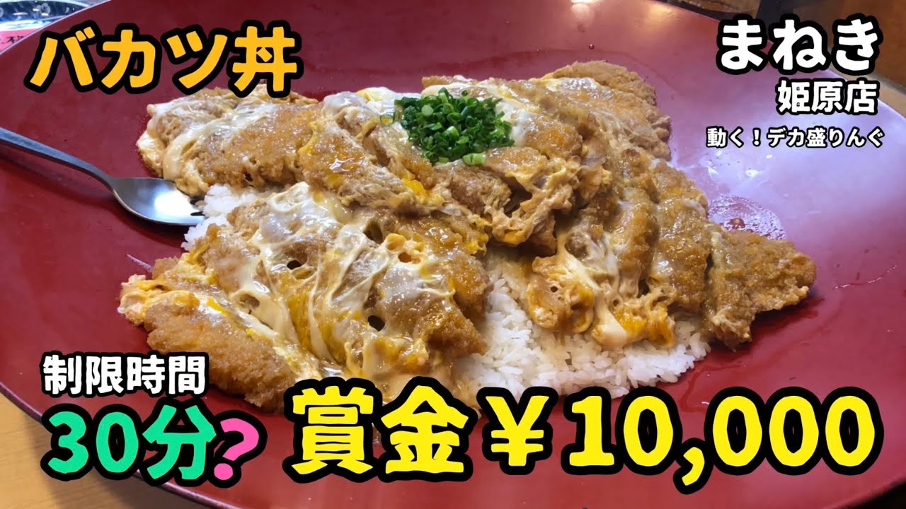 島根県出雲市 賞金1万円 制限時間30分のカツ丼チャレンジ まねき姫原店さん デカ盛りんぐ