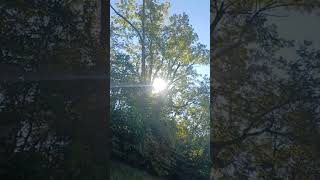 Sumulator Moon 1100Am, 10-12-25