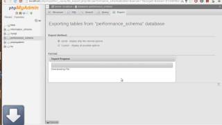 pma export progress bar