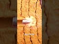 #food #omglookatherlegs #funny #baking #trythatinasmalltown #changeyourmindsetchangeyourlife #do