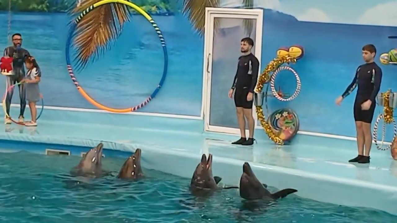 26.01.10 푸켓여행