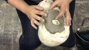 Pantalone: Part 1 - Setting the Base