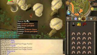 PvpMasters Rsps Green Partyhat Drop