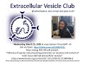 Separation of brainderived extracellular vesicles from brain tissue extracellular vesicle club