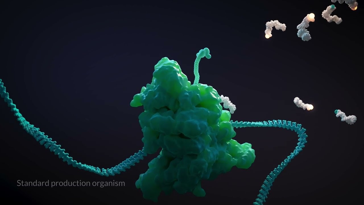 NSAA Protein Production in a Genomically Recoded Organism | MoA Animation