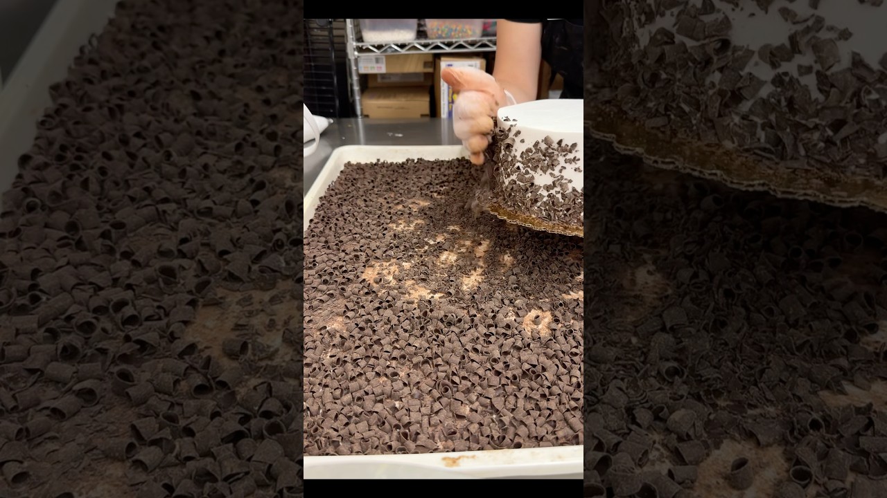 Black Forest cake 🍫 