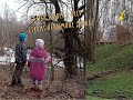 Семья с детьми живет в лесу. Строит необычный дом.