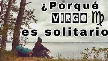 ¿Virgo es introvertido o extrovertido?