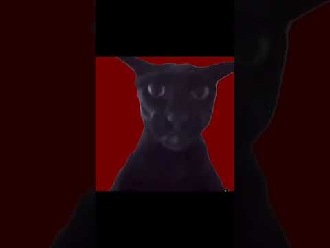 اخت لاري لاري اخت لاري    