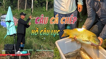 Câu cá chép hồ câu lục vén cá con múc nước #chungnguyenfishing #fishing