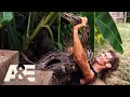 Top 3 python captures part 2  billy the exterminator  ae