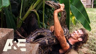 Top 3 PYTHON Captures (Part 2) | Billy the Exterminator | A&E