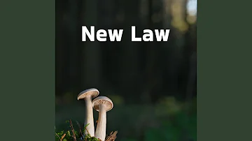 New Law