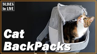 Are cat backpacks and carriers worth the money? Review of The Navigator by Travel Cat screenshot 3