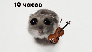 Грустный хомяк 10 часов / sad hamspter 10 hours + сюрприз в конце